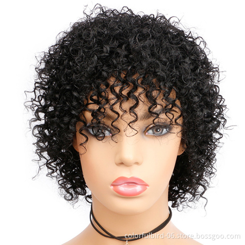 100% Brazilian Human Virgin Hair Wig Black Short Deep Curly Human Hair Wig for Black Women Short Kinky Curly Wig with Bangs